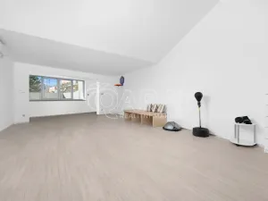 Prodej vícegeneračního domu, Brno, Chaloupky, 240 m2