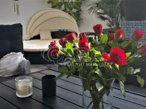 Prodej vícegeneračního domu, Brno, Chaloupky, 240 m2