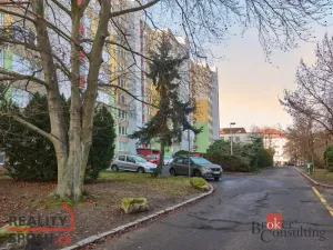 Pronájem bytu 3+kk, Mladá Boleslav - Mladá Boleslav II, Pezinská, 64 m2