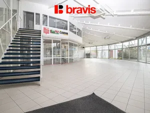 Prodej obchodního prostoru, Brno - Zábrdovice, Koliště, 600 m2