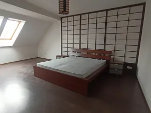 Pronájem bytu 4+kk, Teplice, Svatopluka Čecha, 210 m2