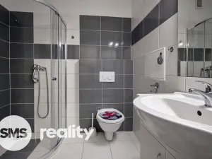 Pronájem bytu 2+kk, Opava - Předměstí, Rybářská, 30 m2