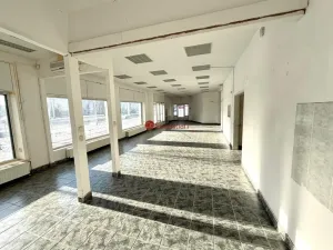 Pronájem obchodního prostoru, Praha - Žižkov, Hartigova, 154 m2