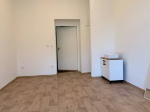 Pronájem kanceláře, Podivín, Palackého, 19 m2