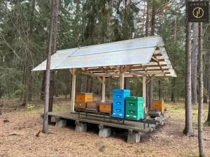 Prodej lesa, Psáry, 2377 m2