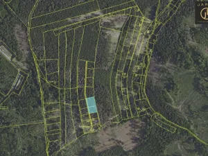 Prodej lesa, Psáry, 2377 m2