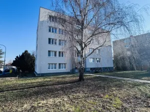 Pronájem bytu 3+1, Břeclav, Bří. Mrštíků, 59 m2