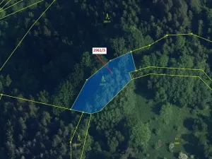 Dražba lesa, Český Dub, 1217 m2