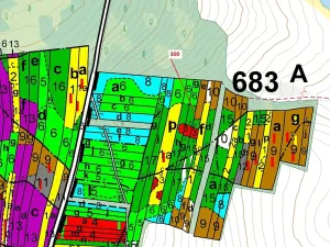 Dražba lesa, Vesce, 5196 m2