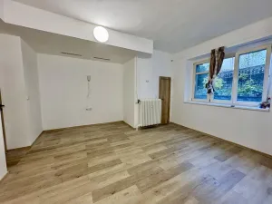 Prodej bytu 1+1, Praha - Nusle, 5. května, 40 m2