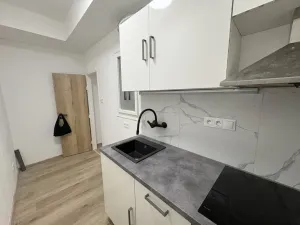 Prodej bytu 1+1, Praha - Nusle, 5. května, 40 m2