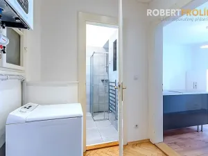 Pronájem bytu 1+1, Praha - Bubeneč, V. P. Čkalova, 55 m2