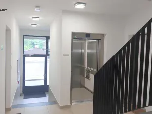 Prodej bytu 1+kk, Praha, Formanská, 33 m2