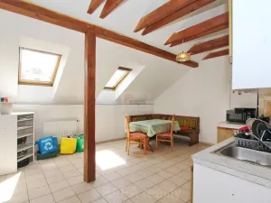 Pronájem pokoje, Praha - Žižkov, Blahníkova, 28 m2