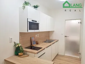 Pronájem bytu 1+kk, Brno, Rumiště, 25 m2