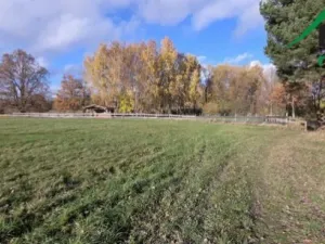 Prodej komerčního pozemku, Bor, 1427 m2