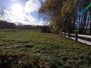 Prodej komerčního pozemku, Bor, 1427 m2