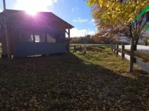 Prodej komerčního pozemku, Bor, 1427 m2