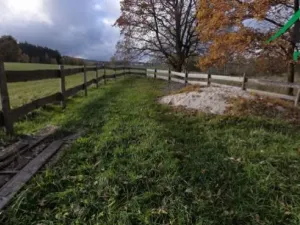 Prodej komerčního pozemku, Bor, 1427 m2