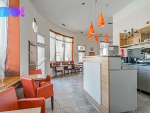 Pronájem obchodního prostoru, Český Těšín, Čapkova, 119 m2