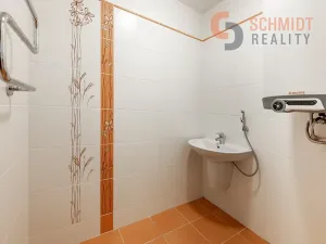 Pronájem rodinného domu, Břeclav, Kupkova, 232 m2