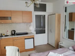 Pronájem bytu 1+kk, Mariánské Lázně - Úšovice, Kubelíkova, 24 m2