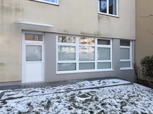 Pronájem bytu 1+1, Brno - Lesná, Majdalenky, 29 m2