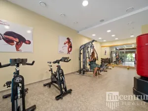 Prodej bytu 3+kk, Říčky v Orlických horách, 80 m2