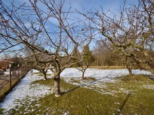 Prodej chalupy, Vinaře, 103 m2