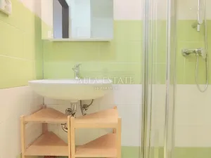 Pronájem bytu 1+1, Dalovice, Pod Parkem, 40 m2