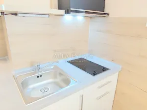 Pronájem bytu 1+1, Dalovice, Pod Parkem, 40 m2