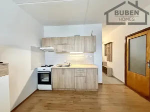 Pronájem bytu 1+1, Staré Sedliště, 42 m2