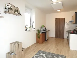 Pronájem bytu 1+kk, Škvorec, 30 m2