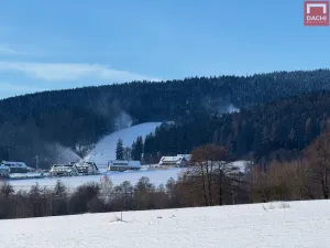 Prodej chaty, Červená Voda, 85 m2