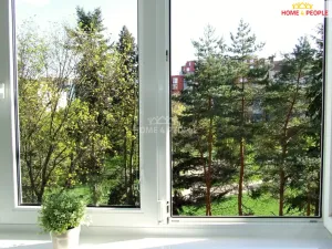 Pronájem bytu 3+kk, Brno - Staré Brno, Křídlovická, 71 m2