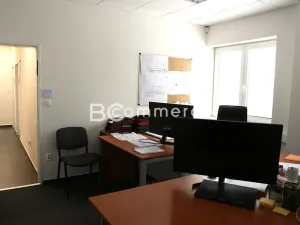 Pronájem kanceláře, Brno, 240 m2