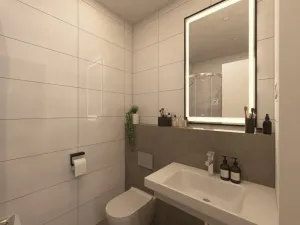 Pronájem bytu 1+1, Brno - Židenice, Bubeníčkova, 35 m2