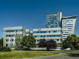 Pronájem obchodního prostoru, Praha - Holešovice, Jankovcova, 291 m2