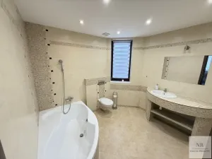 Prodej vily, Nová Role - Mezirolí, 350 m2