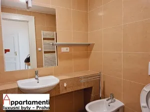 Pronájem bytu 3+kk, Praha - Vinohrady, Mánesova, 72 m2
