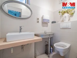 Prodej obchodního prostoru, Čížová - Zlivice, 206 m2