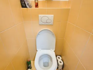 Prodej bytu 2+1, Šumperk, Reissova, 67 m2