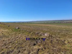 Prodej rodinného domu, Žatec - Milčeves, 205 m2