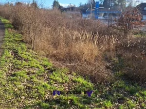 Prodej pozemku, Žatec, 1097 m2