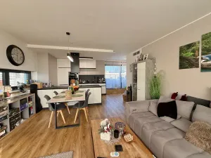 Pronájem bytu 3+kk, Brno, Kumpoštova, 152 m2