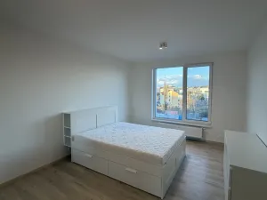 Pronájem bytu 2+kk, Ostrava - Moravská Ostrava, F. X. Riepla, 60 m2