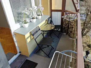 Pronájem bytu 1+1, Brno - Lesná, Arbesova, 32 m2