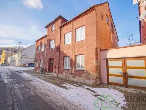 Prodej rodinného domu, Javorník, Družstevní, 407 m2