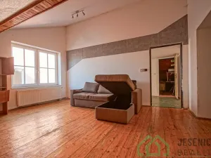 Prodej rodinného domu, Javorník, Družstevní, 407 m2