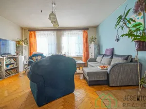 Prodej rodinného domu, Javorník, Družstevní, 407 m2